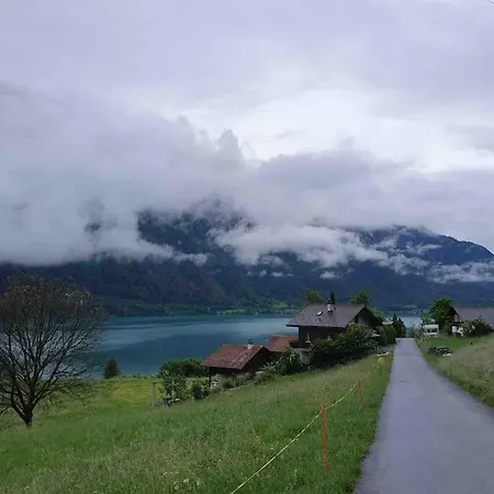 Lakeview Basement Near Interlaken