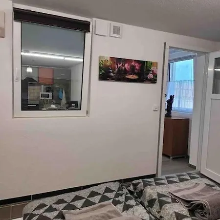 Lakeview Basement Near Interlaken