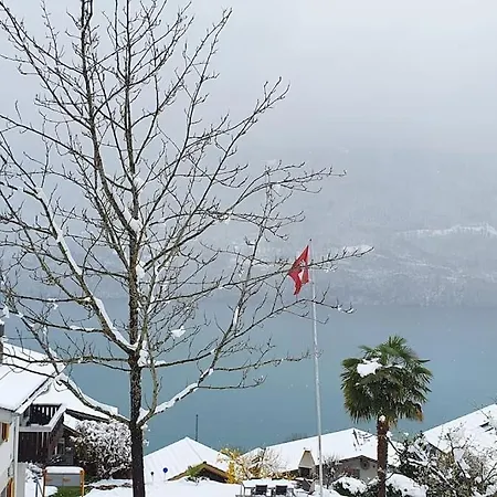 Lakeview Basement Near Interlaken Apartment *